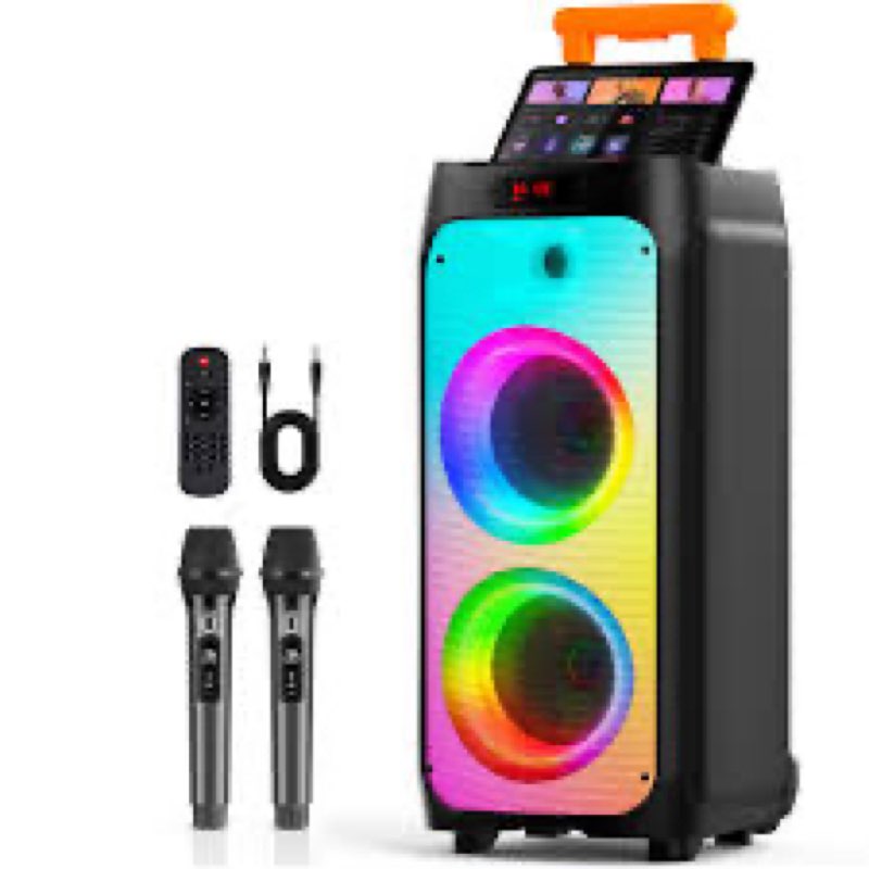 HWWR Karaoke Machine for Adults, Big Party Speaker with 500W Peak Power, Wireless PA System with Dua