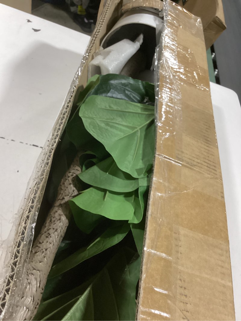 Condition photo showing Good Condition for LuceAlberi Artificial Fiddle Leaf Fig Tree 6FT - Large Fake Tree with White Planter&Basket, Tall Faux Ficus Lyrata Tree Floor Plants for Indoor Home Decor Office Living Room Housewarming Gift, 1Pack 6ft Green