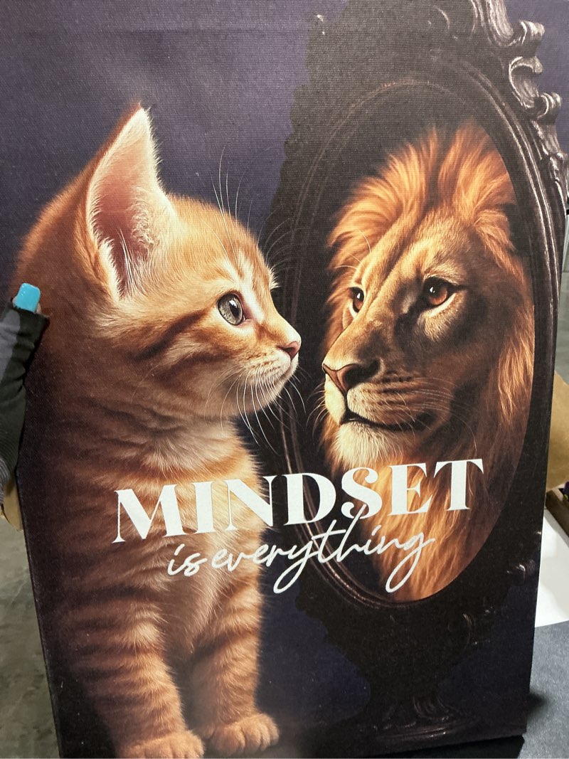 Condition photo showing Good Condition for motivational lion and cat wall art for kids mindset is everything nursery canvas wall decor inspirational pictures paintings prints artwork framed decorations for children's room bathroom bedroom living room office gifts 12" x 16" cat and lion 16"l x 12"w