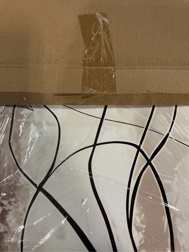 Condition photo showing New/Like New for Framed 3pcs Black White Abstract Line Wall Art Female Figure Silhouette & Geometric Elements Picture