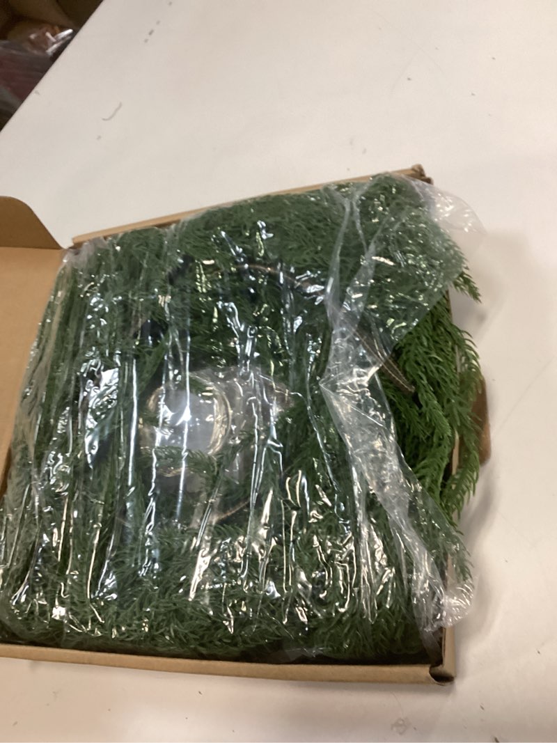 Condition photo showing Good Condition for 6FT Anna's Whimsy 2PCS Christmas Garland with Light, Real Touch Winter Pine Garland, Green Artificial Greenery Garland for Table, Mantle, Wall, Indoor, Outdoor Christmas Decorations 2W8F 6FT 2PCSCryptomeria Pine with Light