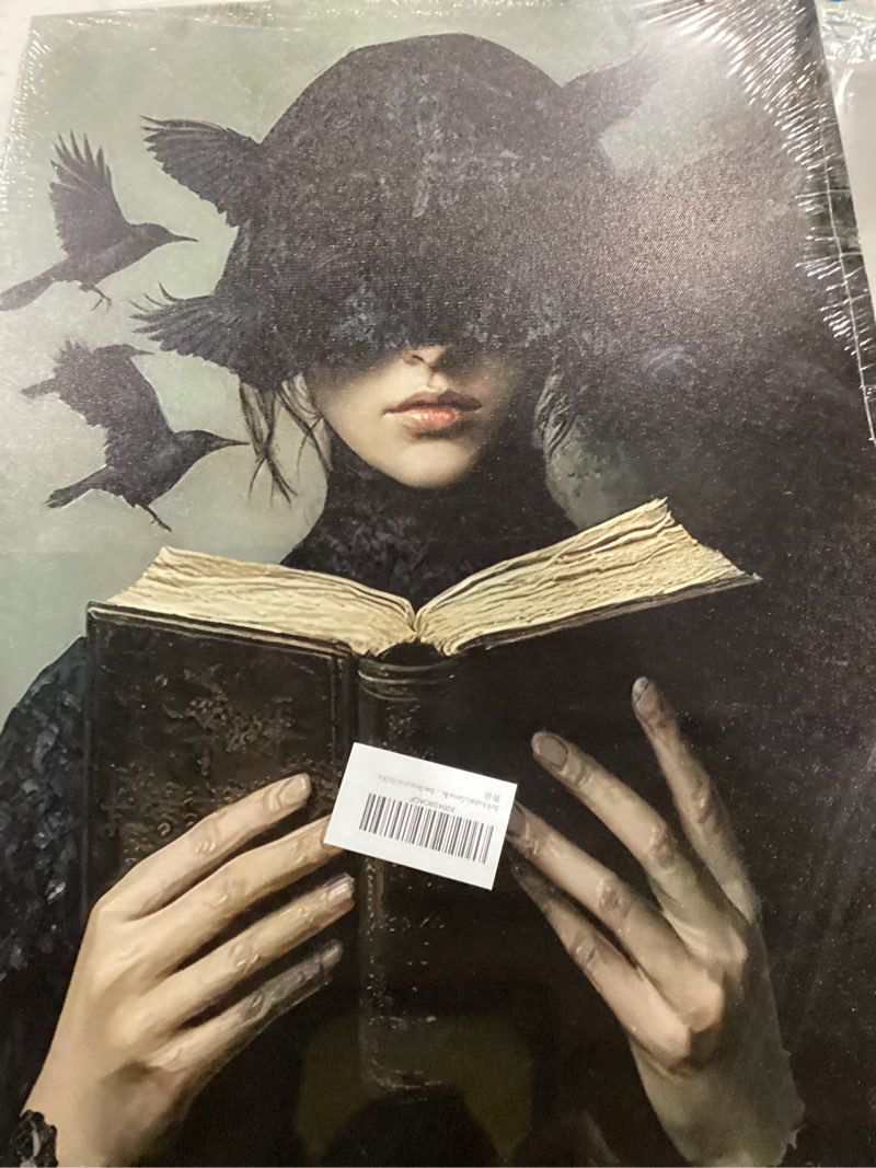 Dark Academia Canvas Wall Art Gothic Victorian Woman Reading Book Wall Decor Picture Moody Dark Crow