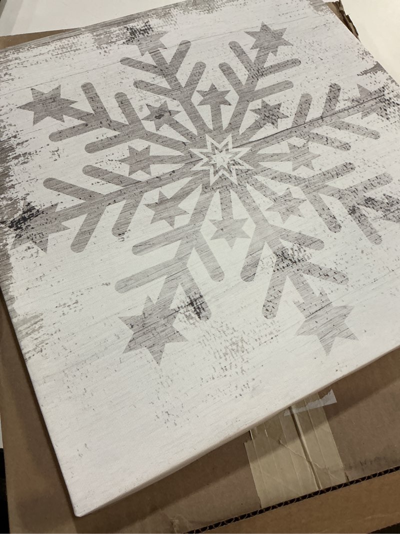 Condition photo showing Good Condition for Winter Snowflake Weathered Pattern Holiday Graphic Art White Framed Art Print Wall Art