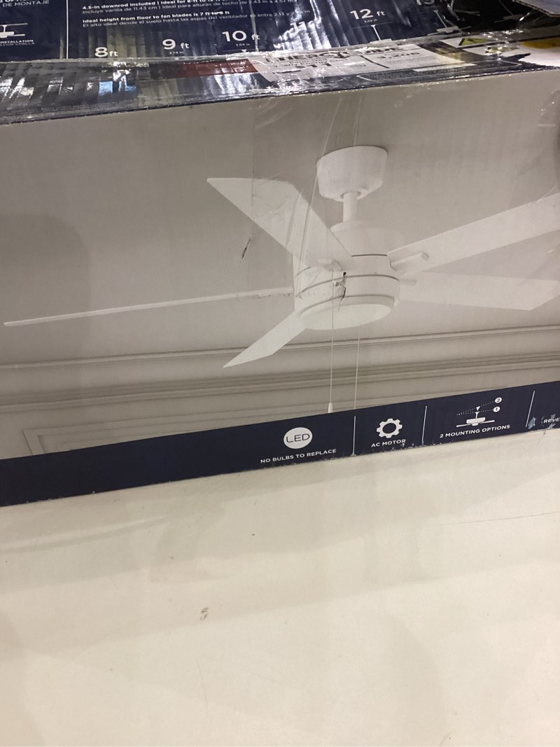 Ceiling Fan for Livingroom