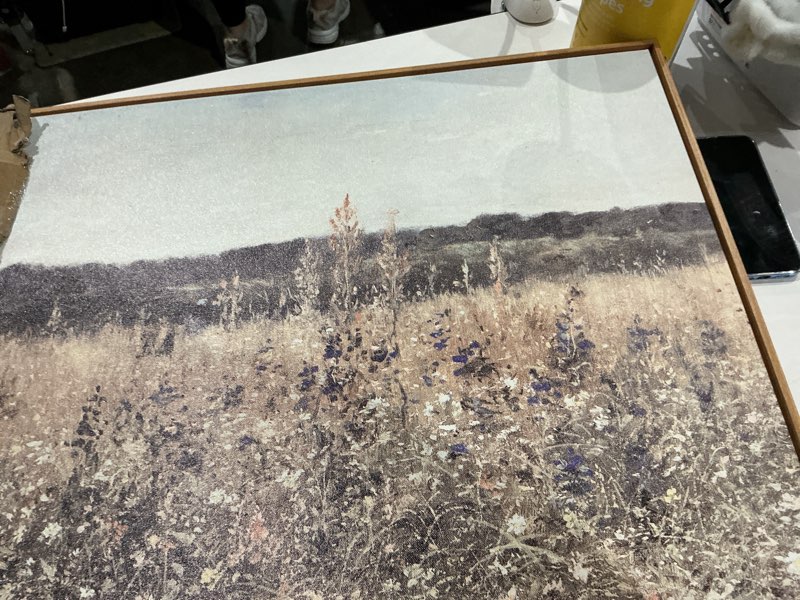 Condition photo showing Good Condition for insimsea framed canvas wall art, vintage decor, landscape wall art, meadow art with flowers, modern farmhouse decor, country house decor, bedroom, bathroom, office