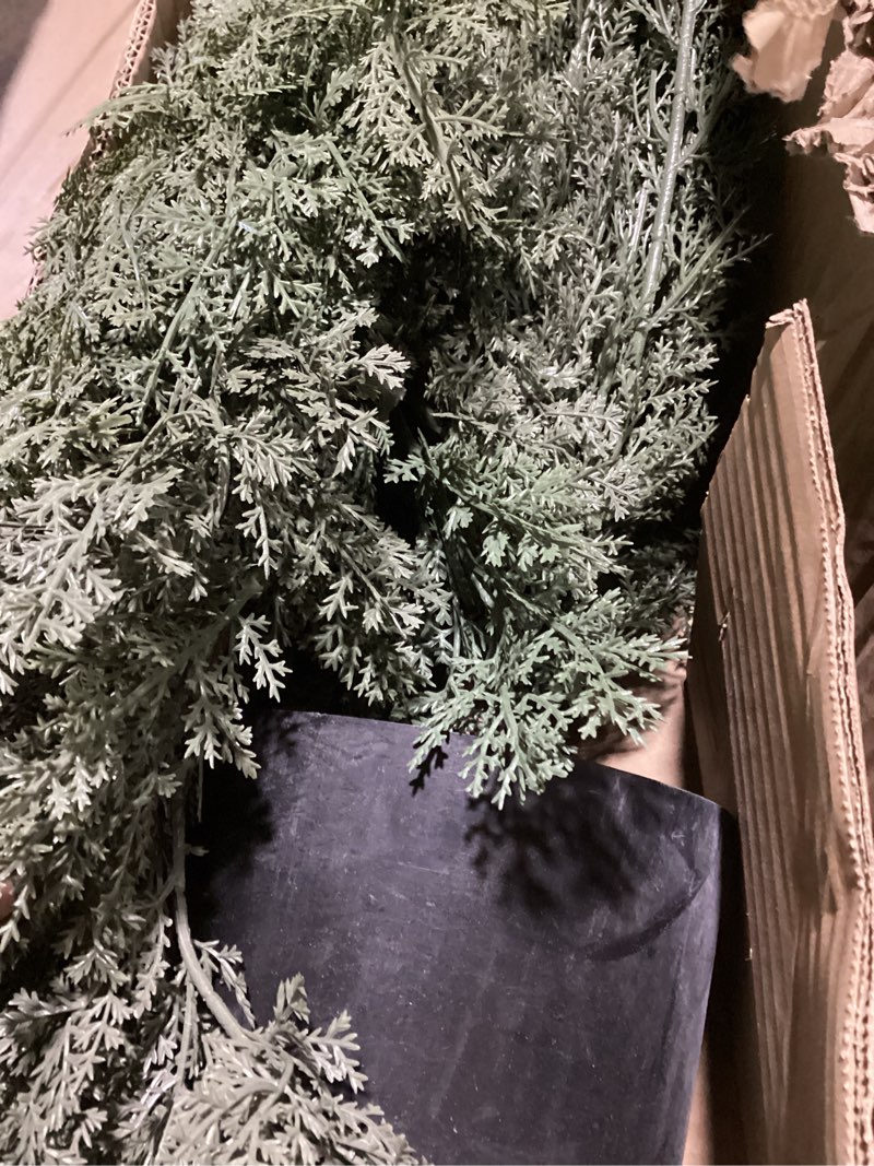 Condition photo showing As Is for garvee 36in artificial cedar boxwood topiary trees set of 2 with pots