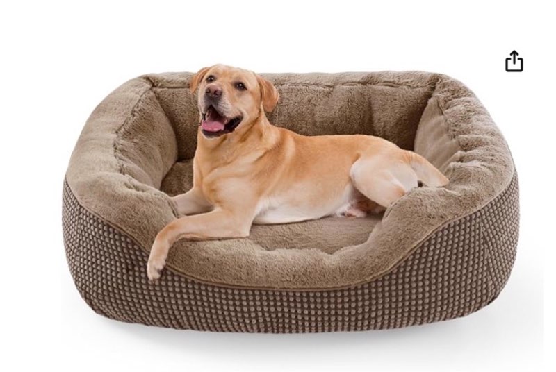 Get In On The Bidding Frenzy!