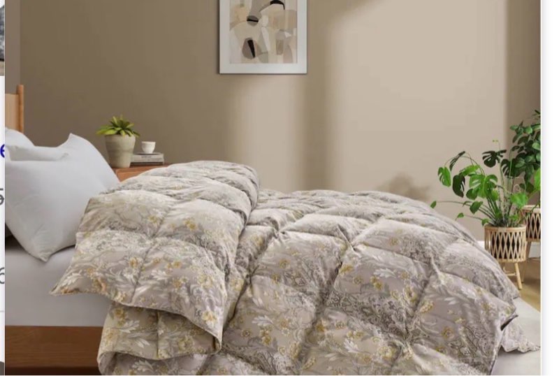 Joysoul Twin Size Down Comforter with Paisley Floral- All Season Ultra Soft Goose Feather Fiber