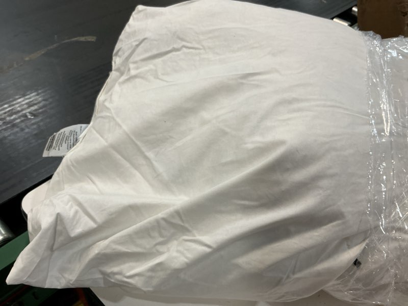 Condition photo showing As Is for premium feather pillow insert (set of 1), 26x26, no color