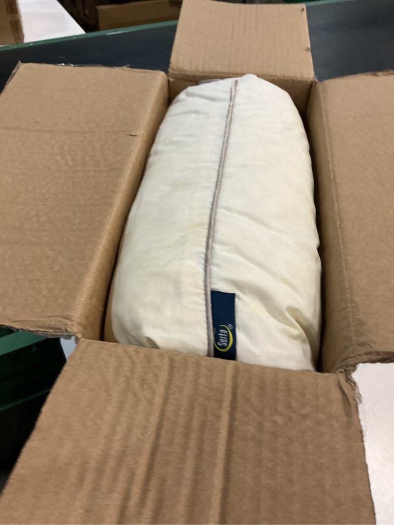 Condition photo showing As Is for amazon basics down alternative bed pillow, medium density for back and side sleepers, queen - pack of 2, white, 30 in l x 20 in w queen - pack of 2 medium pillow