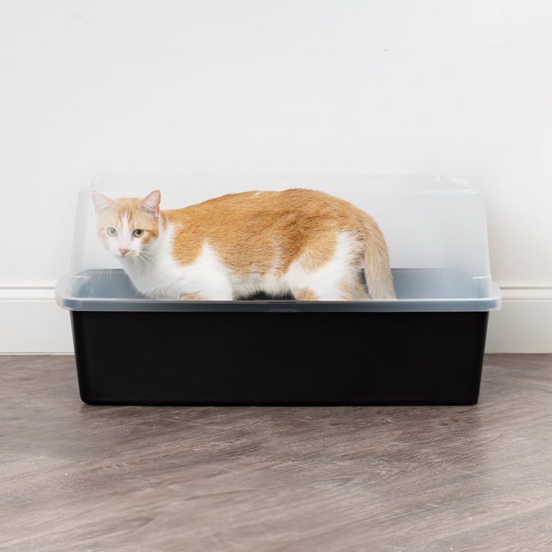 xl open-top cat litter box with shield blue/clear 