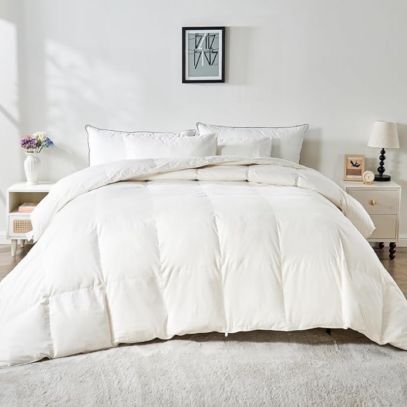 KUSNUG 100% Organic Cotton Feather & Down Fibers Comforter Oversized Queen Size, All-Season Hotel-St