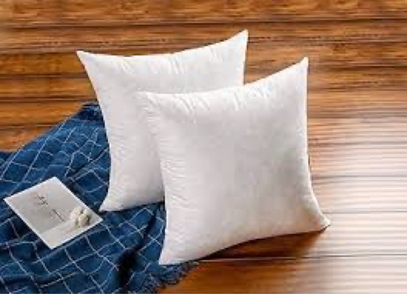 24x24 Inch Gold Goose Down and Feather Throw Pillow Inserts-2 Packs,White,Super Soft Cover,Double Layer Dwon Proof Design,High Filling Weight.