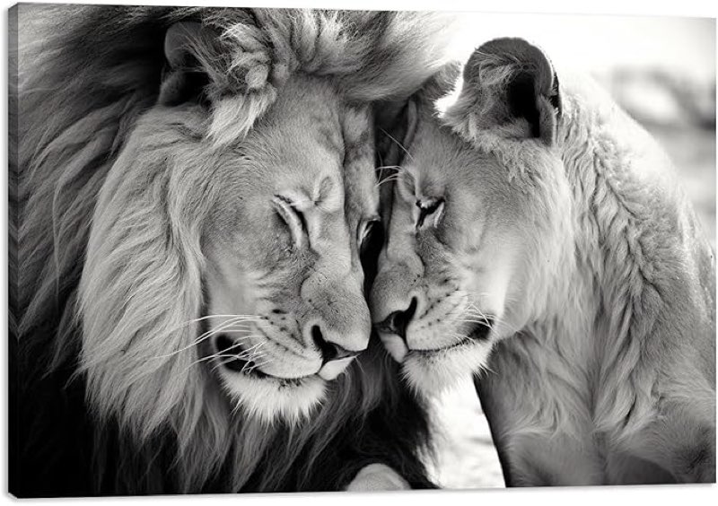 MODOJOART Lion Canvas Wall Art, Lion and Lioness Painting Print Black and White Love Lions Animals Couple Poster Picture for Bedroom Living Room Decor(Artwork-01, 30"x20")