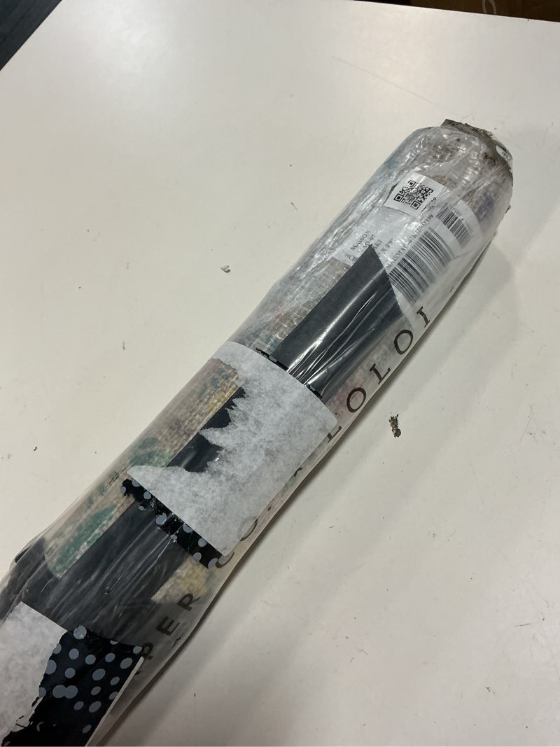 Condition photo showing Good Condition for loloi rifle paper co. maison collection mao-07 khaki 2'-3" x 3'-9", .19" pile height, accent rug khaki 2'3" x 3'9" (rectangular)