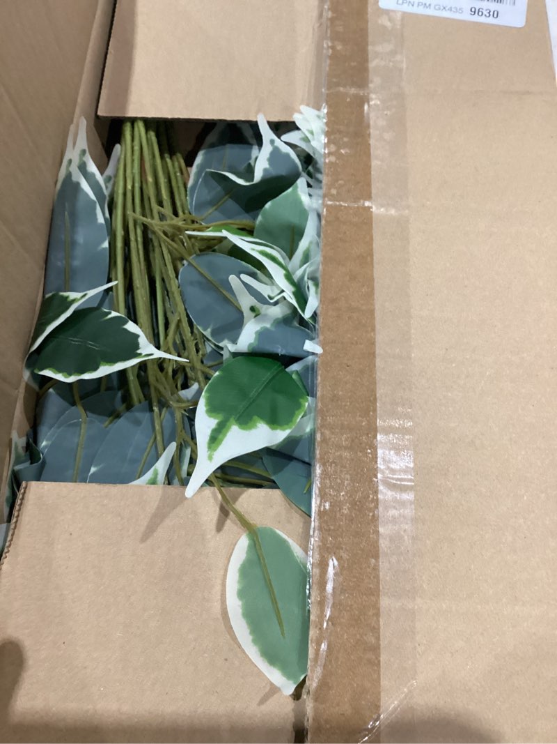 Condition photo showing Good Condition for dilatata 12pcs ficus leaves artificial branches 24" faux ficus greenery tree branches fake ficus leaves sprays for tree diy arch wedding wall decor - green & white