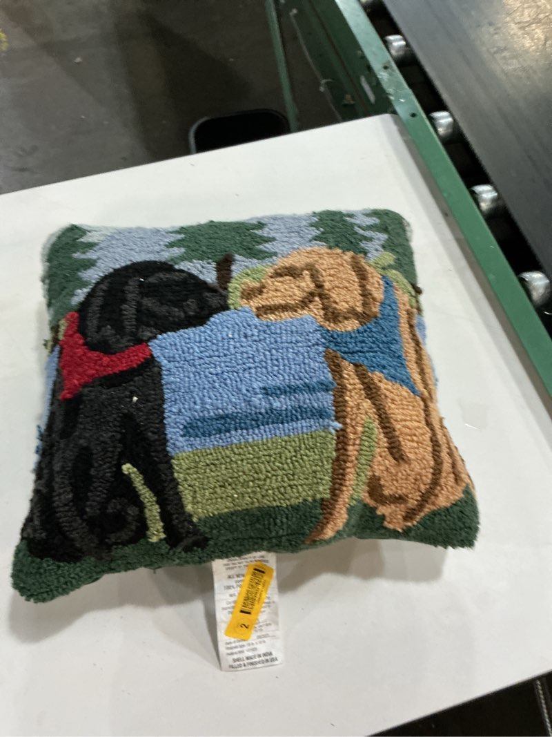 Condition photo showing As Is for allen + roth graphic print lake dogs square throw pillow