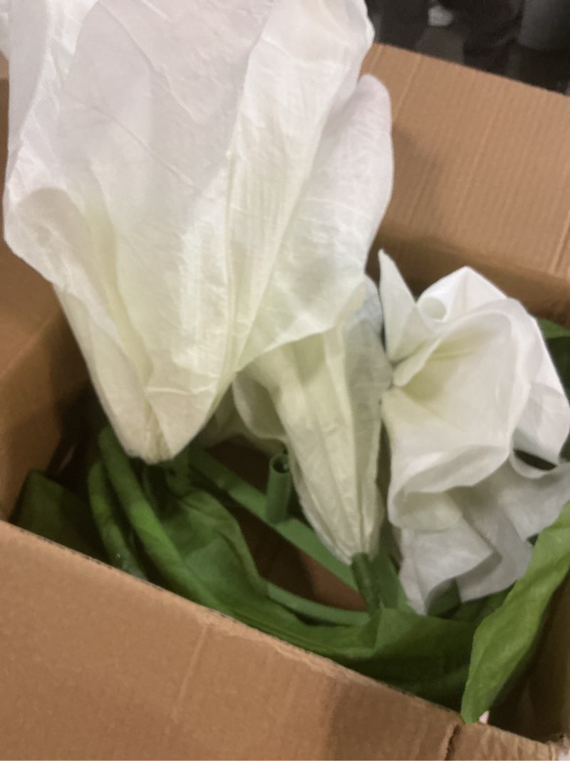 Condition photo showing Good Condition for 3pcs giant artificial flower poppy floor standing 4.6ft / 5.2ft /5.9 ft, adjustable for wedding decoration reception, background backdrop photo props, shop window (pink) (color may vary ours is white)