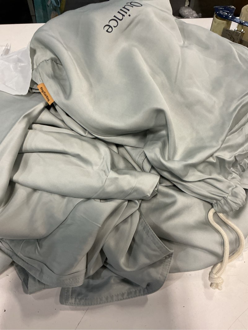 Condition photo showing Good Condition for bamboo duvet cover set mint king/cal king