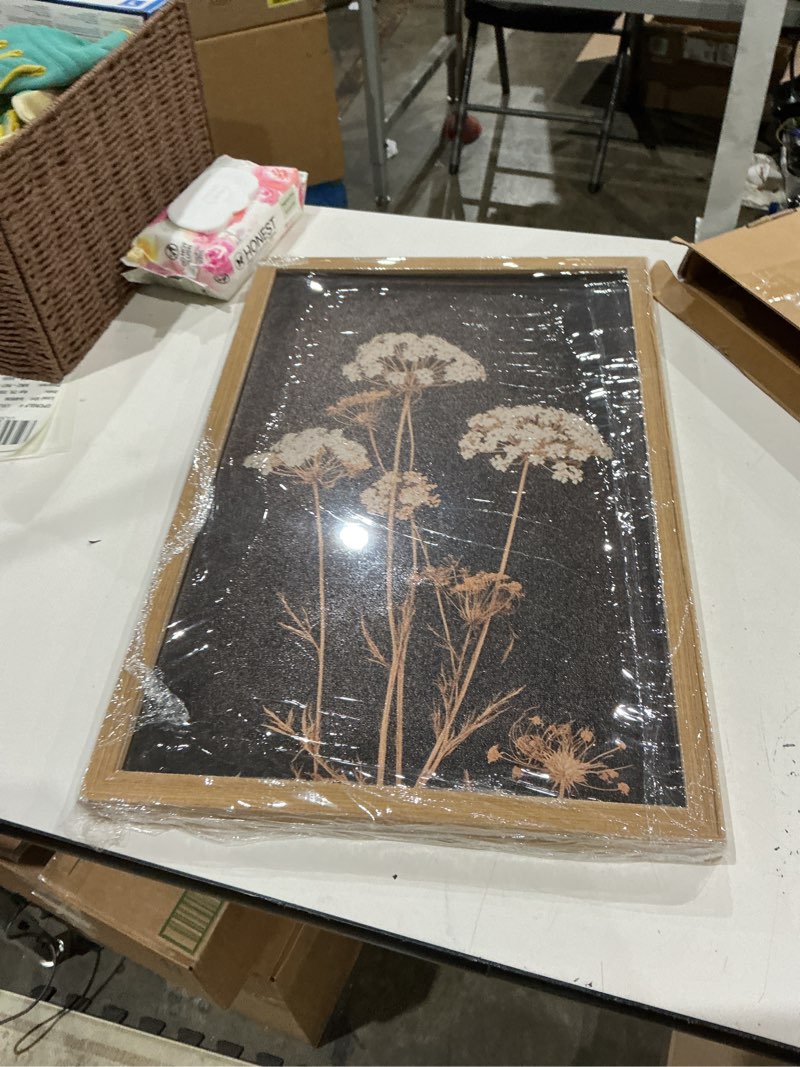 Condition photo showing Good Condition for 2pcs framed moody botanical wall art with wood frame vintage queen anne’s lace flower canvas paintings rustic floral poster picture prints decor for farmhouse living roomor bedroom16x24in moody floral 2pcs 16x24 inches