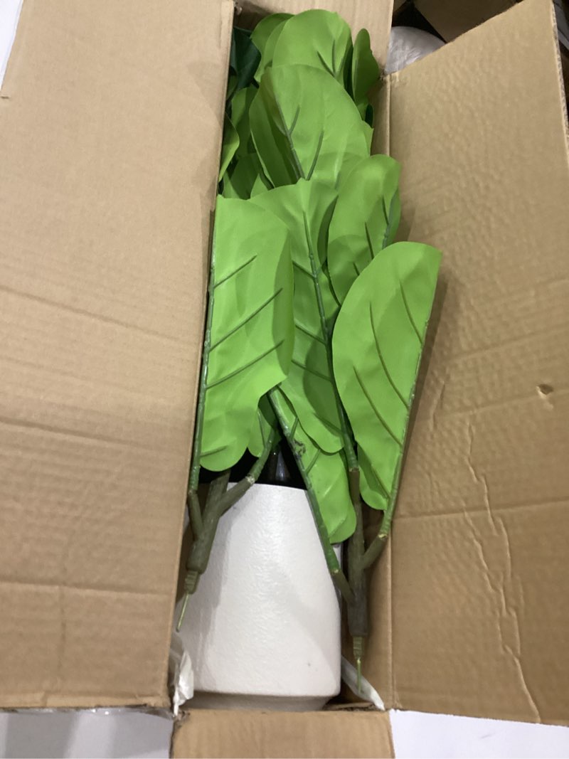 Condition photo showing Good Condition for alupssuc 4ft artificial fiddle leaf fig tree with white planter pot, 4 feet tall fake tree for home decor, faux ficus tree fake moss for indoor outdoor office living room