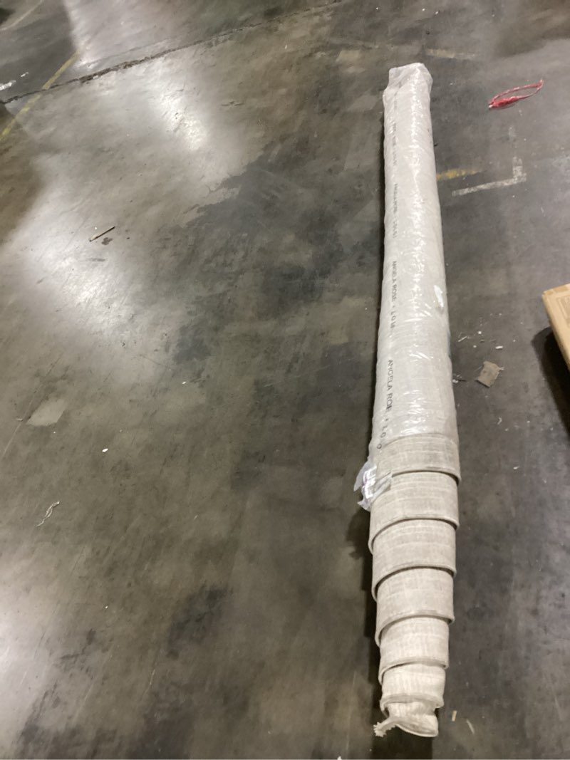 Condition photo showing As Is for (possibly used)loloi angela rose ember collection emb-04 ivory/multi 7'-10\" x 10' area rug ivory / multi 7'10\" x 10' (rectangular)