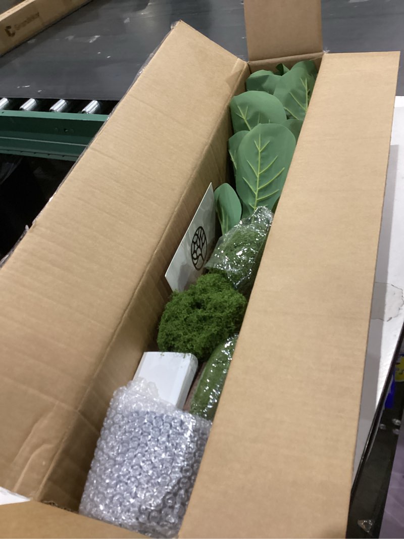 Condition photo showing As Is for artificial fiddle leaf fig tree 3ft (36 inch) tall - with remote led spotlight - realistic faux potted plant & moss for living room & office decor