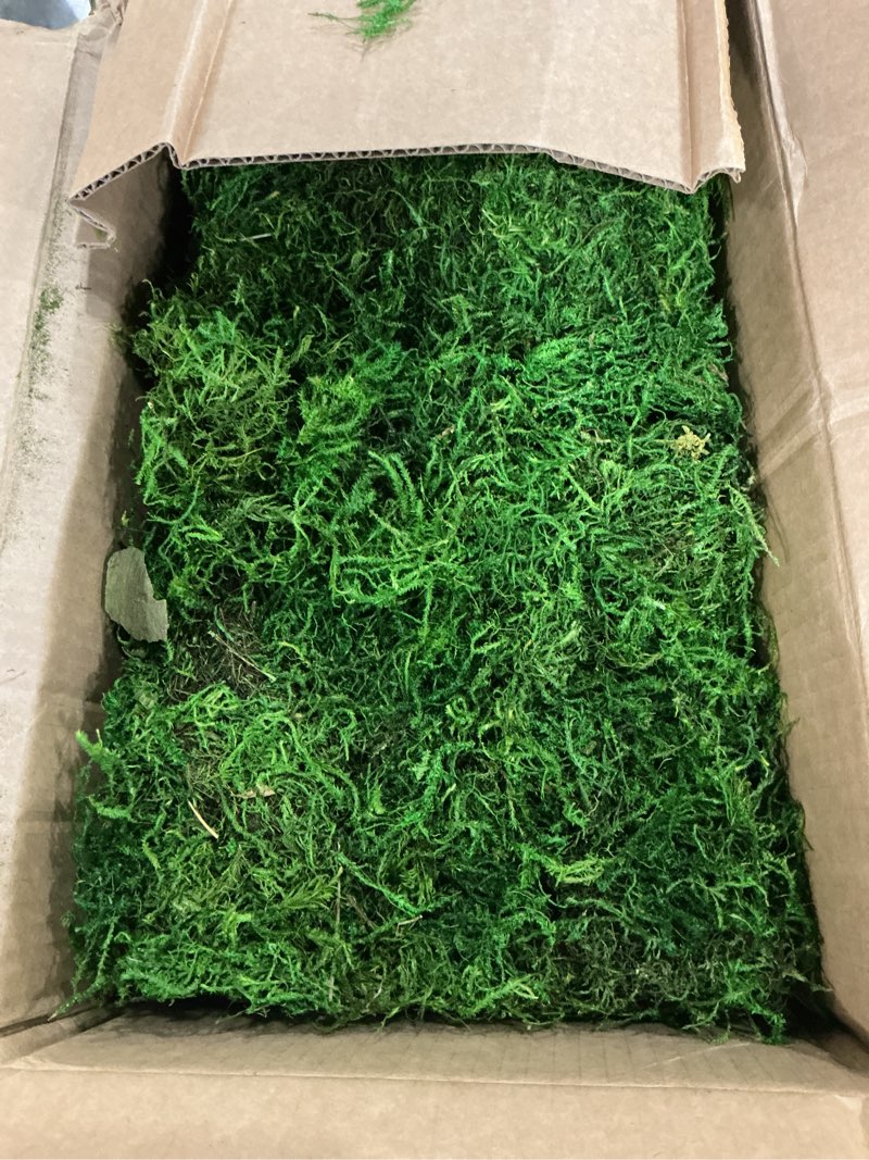 Condition photo showing As Is for supermoss (25327) forest moss preserved, fresh green, 10 pounds fresh green appx. 10 lb bulk case