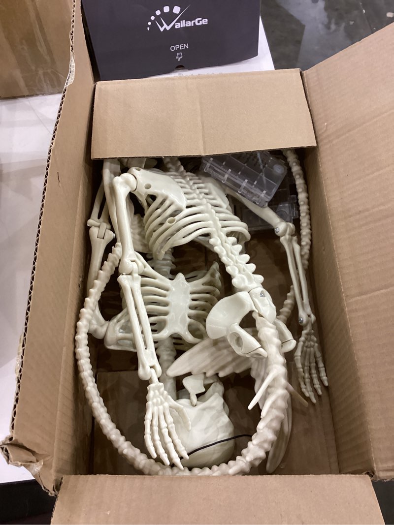 2 Pack Halloween Decorations Skeleton with Light, Halloween Indoor/Outdoor Decor, Hanging Realistic 