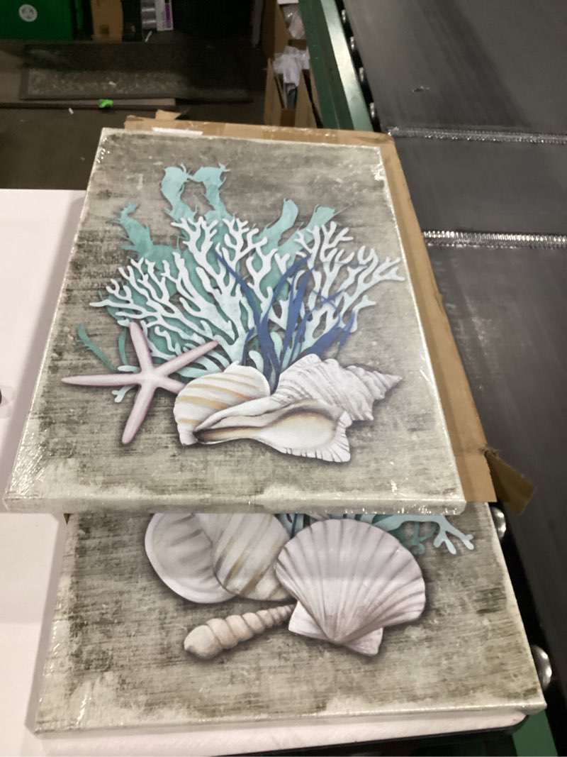 Condition photo showing New/Like New for DuoBaorom 2 Piece Canvas Wall Art Coastal Picture Beach Shell Bathroom Decoration Starfish Coral Painting 16x24inchx2Set