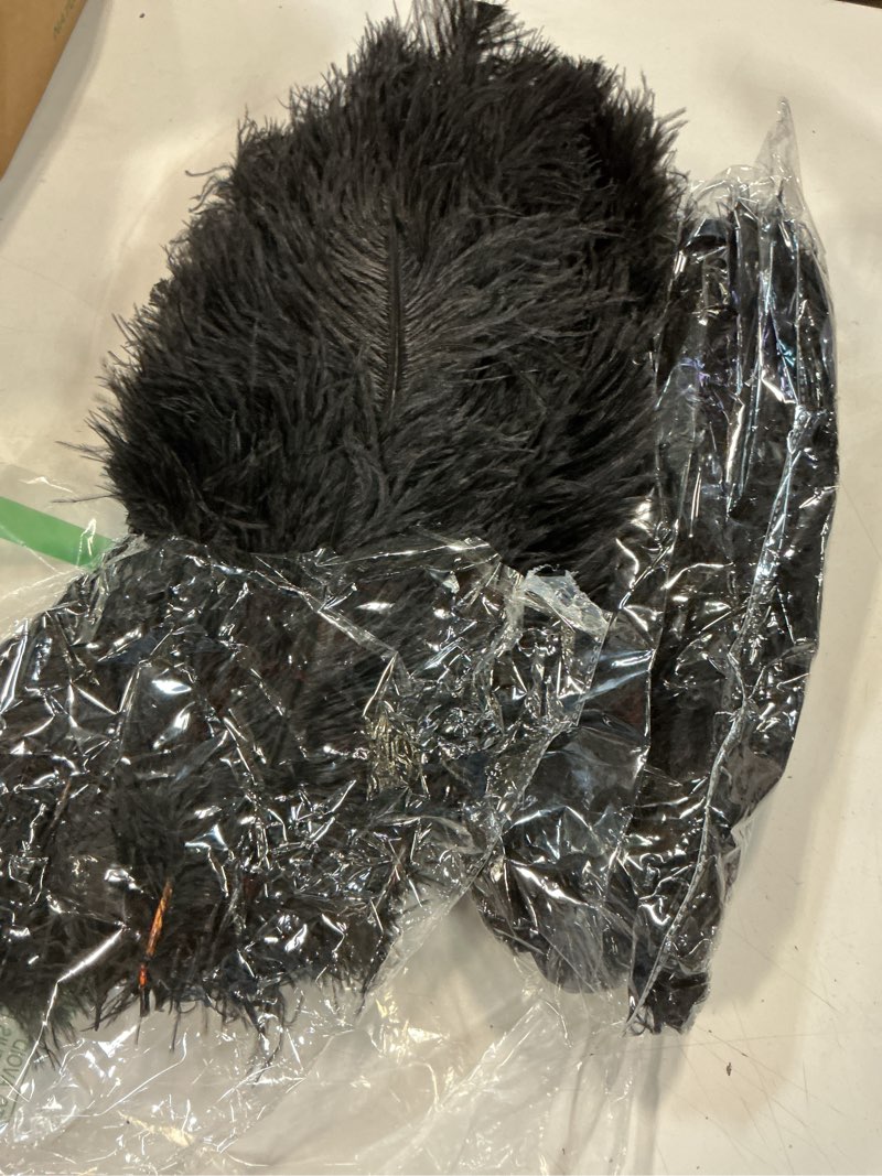Condition photo showing Good Condition for XunYee 100 Pcs Large Natural Ostrich Feathers Plumes Bulk for Centerpiece 16-18 Inch (40-45 Cm) Feathers for DIY Crafts Christmas Wedding Masquerade Party Decorations(Black)