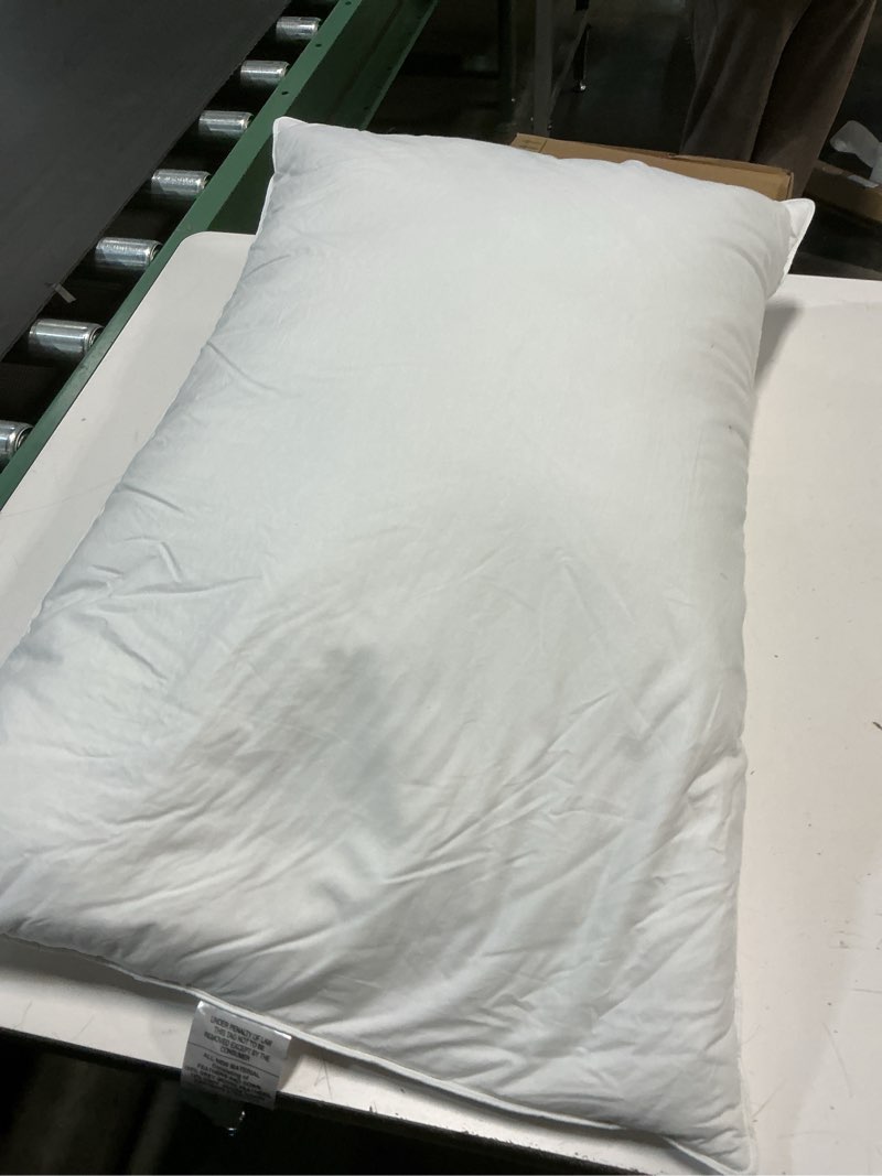 Condition photo showing As Is for Ultra Thin Flat Soft Bed Pillows Queen Size Set of 1 Pack for Sleeping 20\"x30\", Hypoallergenic Skin Friendly Machine Washable 1  Pack Quee