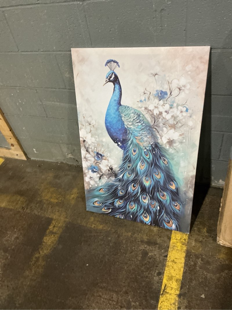 Condition photo showing Good Condition for QIXIANG Peacock Pictures Wall Decor Elegant Peacock Canvas Paintings Art Animal Paintings Prints Bed
