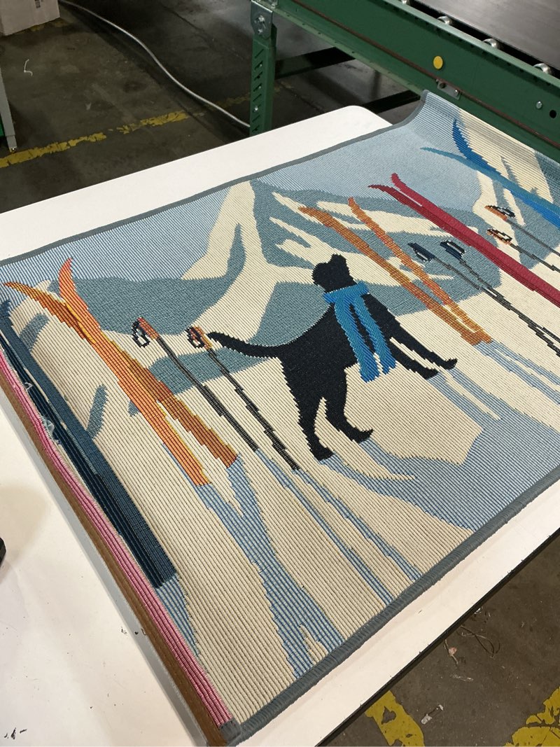 Condition photo showing Good Condition for (24x36)lush decor esencia downhill dog indoor/outdoor mat ice