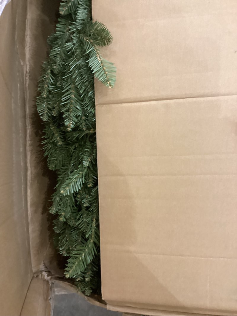 Condition photo showing As Is for Tree