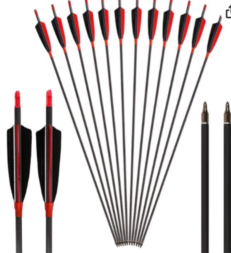 Archery Carbon Arrows 400 Spine with 4” Real Feather Fletching 100 Grain Points for Compound Recurve Longbow (12 Pack)