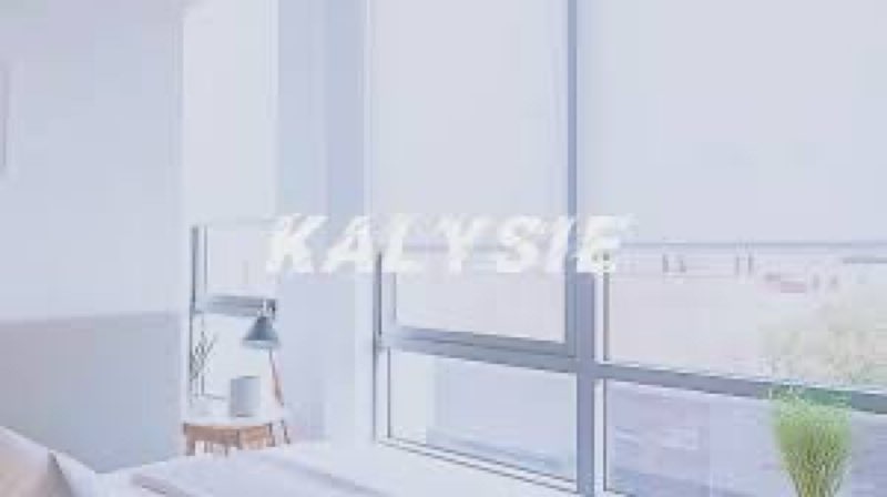 KALISIE Zebra Roller estigh, 38 Inches Wilch