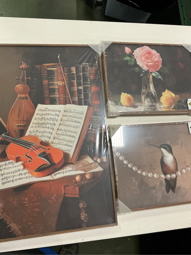 Framed Vintage Wall Art for Living Room, 3 Pieces Retro Floral Canvas Artwork for Bedroom, country bird violin still life vintage prints art .