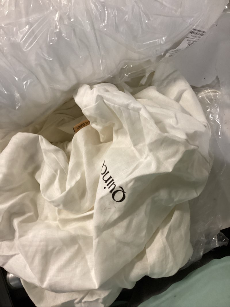 Condition photo showing Good Condition for queen ivory sham set
