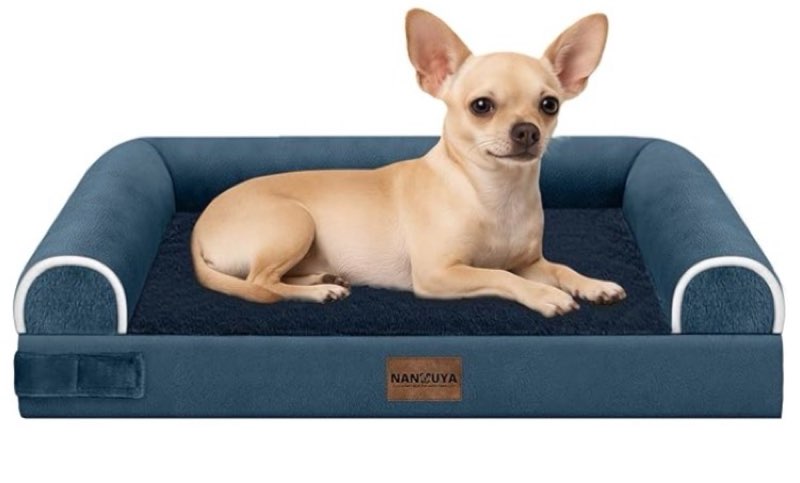 small dog bed orthopedic washable: beds bolster small sized dogs cats bed egg crate foam couch sofa 