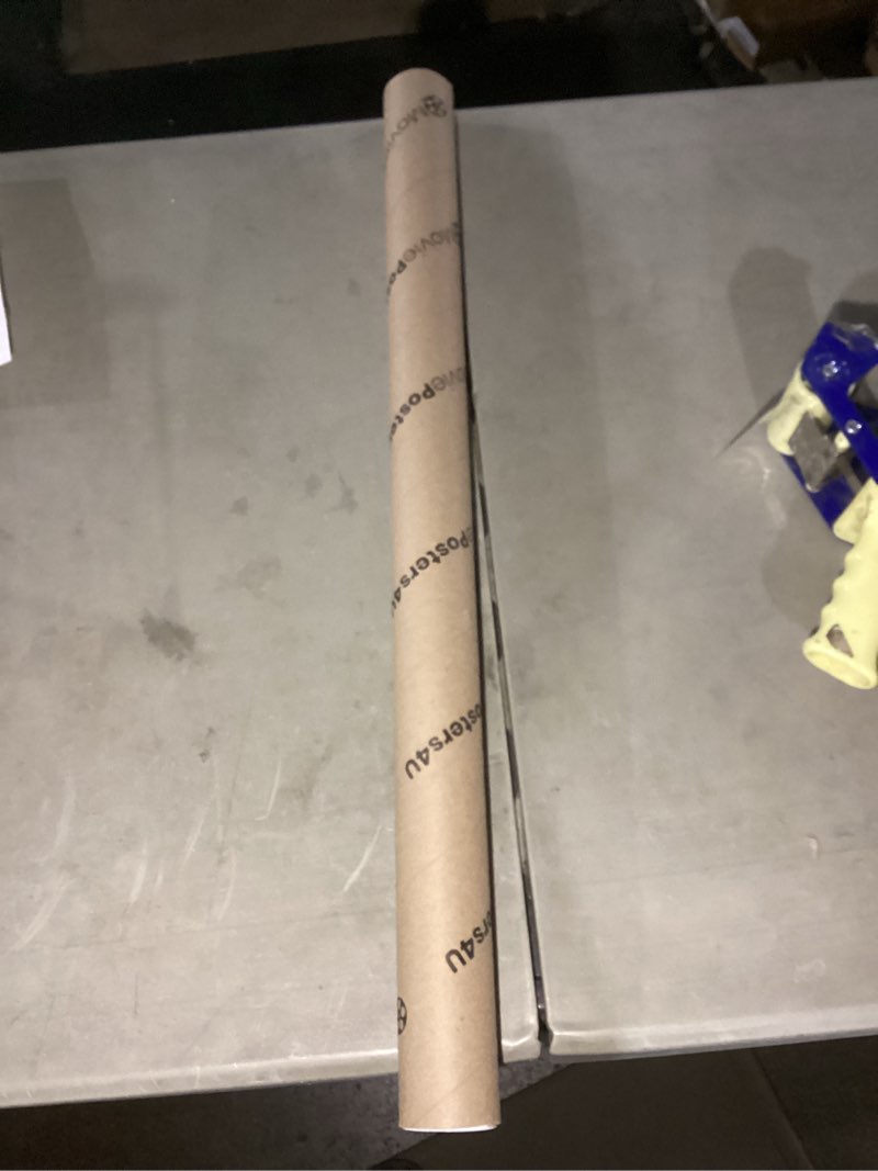 The Polar Express Movie Poster Print (27 x 40)