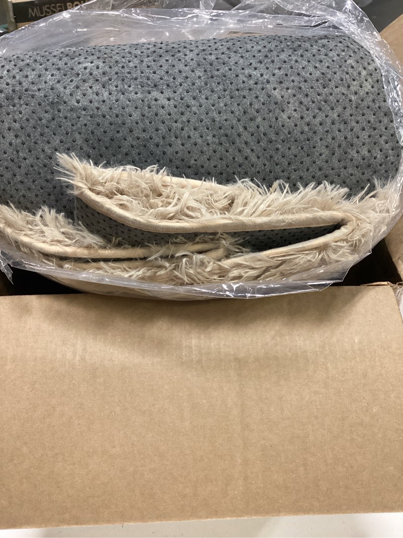 Condition photo showing As Is for 5x8 living room rugs fluffy neutral beige area rug,modern plush non-slip soft bedroom shag carpet for book room office,coffee stain resistant beige 5' x 8' (rectangular)