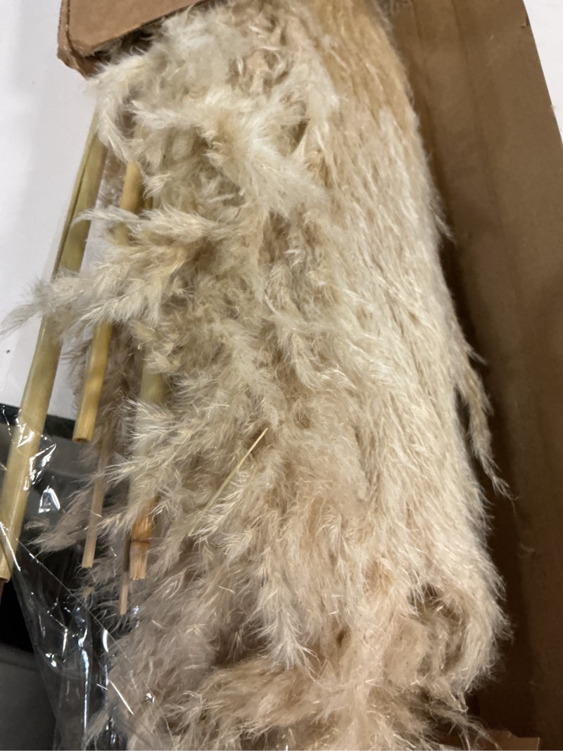 Condition photo showing As Is for 12 stems 46" tall pampas grass decor extra fluffy natural dried flowers | for floor vase large dried pampas grass, for home living room, boho wedding decor, modern farmhouse floral arrangements