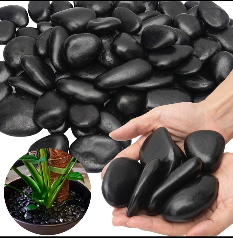 black river rocks - large polished black pebbles for plants & garden decorative stones, 1-2 inch, 15 pound