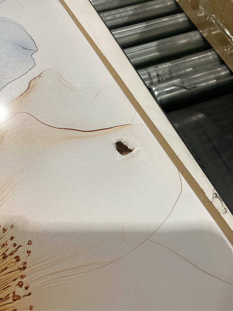 Condition photo showing As Is for iKNOW FOTO Large Flickering Flower Canvas Wall Art Modern X-Ray Pink, Blue & Orange Flowers Giclee Prints Floral Minimalist Glam Decor Picture Giclee Prints for Living Room 20x48