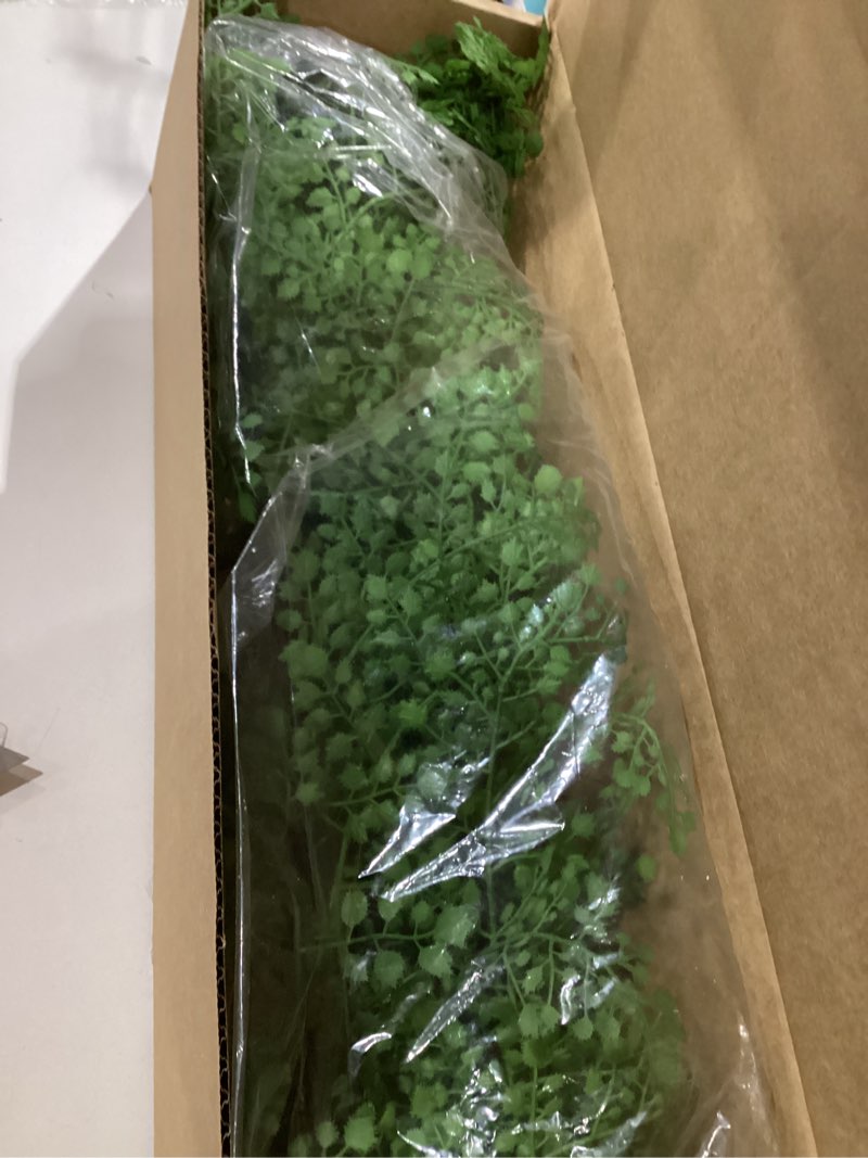 Condition photo showing New/Like New for Nearly Natural 4ft. Ruffle Fern Artificial Tree