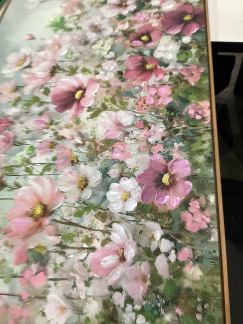Condition photo showing Good Condition for yiijeah wall art for living room fower bedroom floral canvas framed prints pictures colorful wall decor watercolor large nature wildflower paintings 48x24 inches 48"l x 24"w red