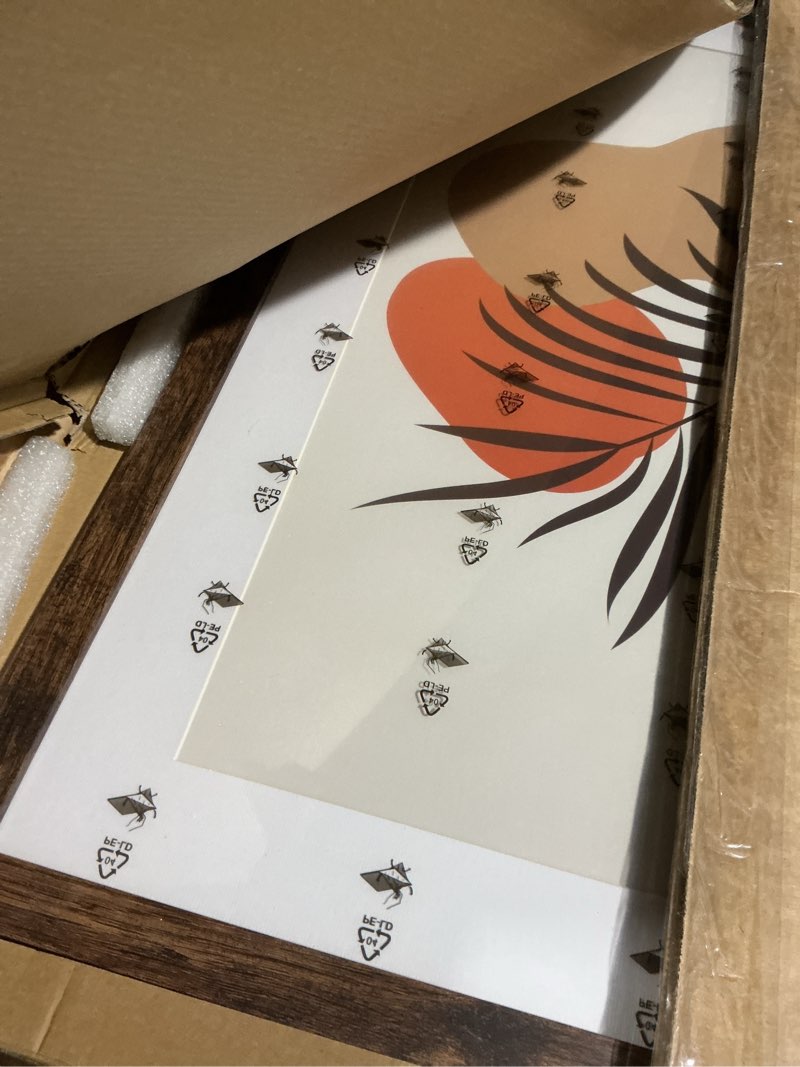 Condition photo showing Good Condition for MCS Museum Poster Frame, Medium Oak, 20 x 28 in, Single Medium Oak Woodgrain 20 x 28 in Single