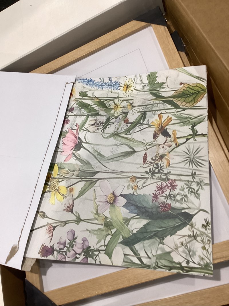 Condition photo showing New/Like New for Abolutely Astonishing artwork 2 frames with floral pictures to add with frames 
