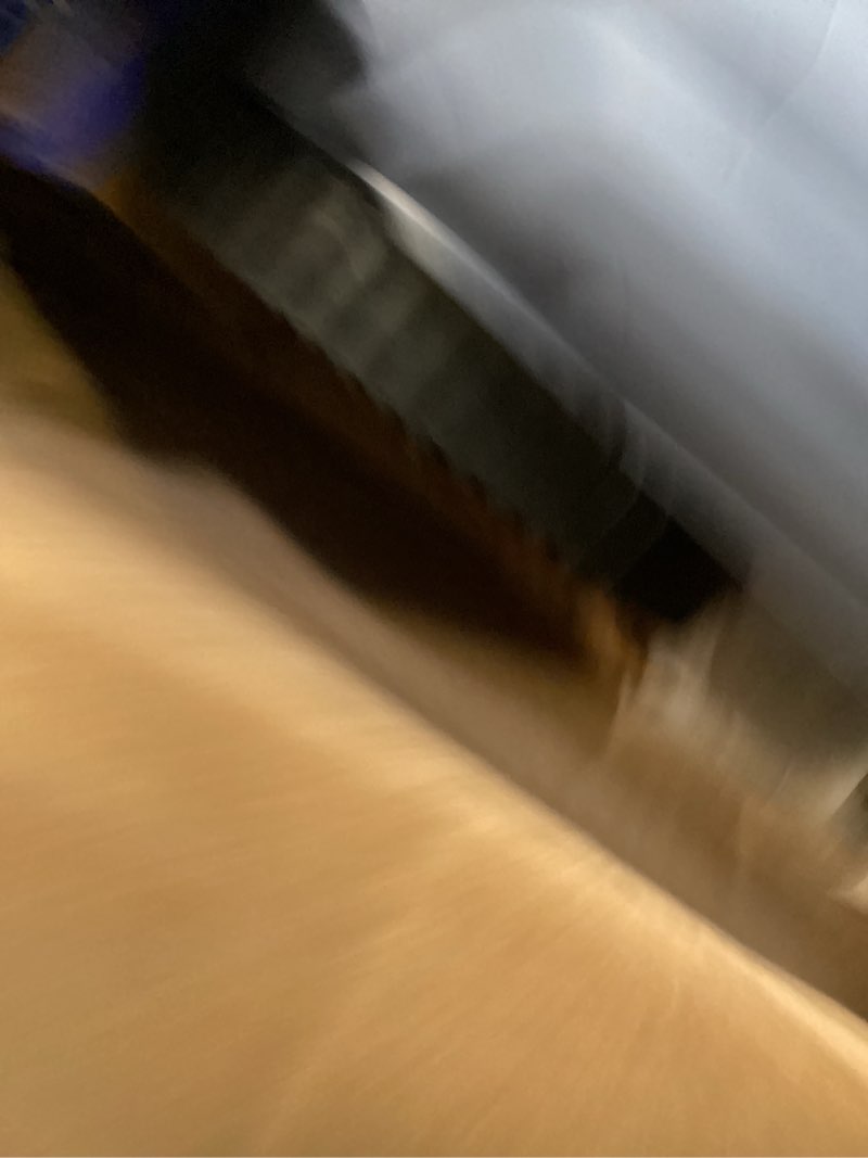 https://lotting-media.assets.bidfta.com/lotting_30d6848d-d12f-41ee-a630-5f4127a5725f